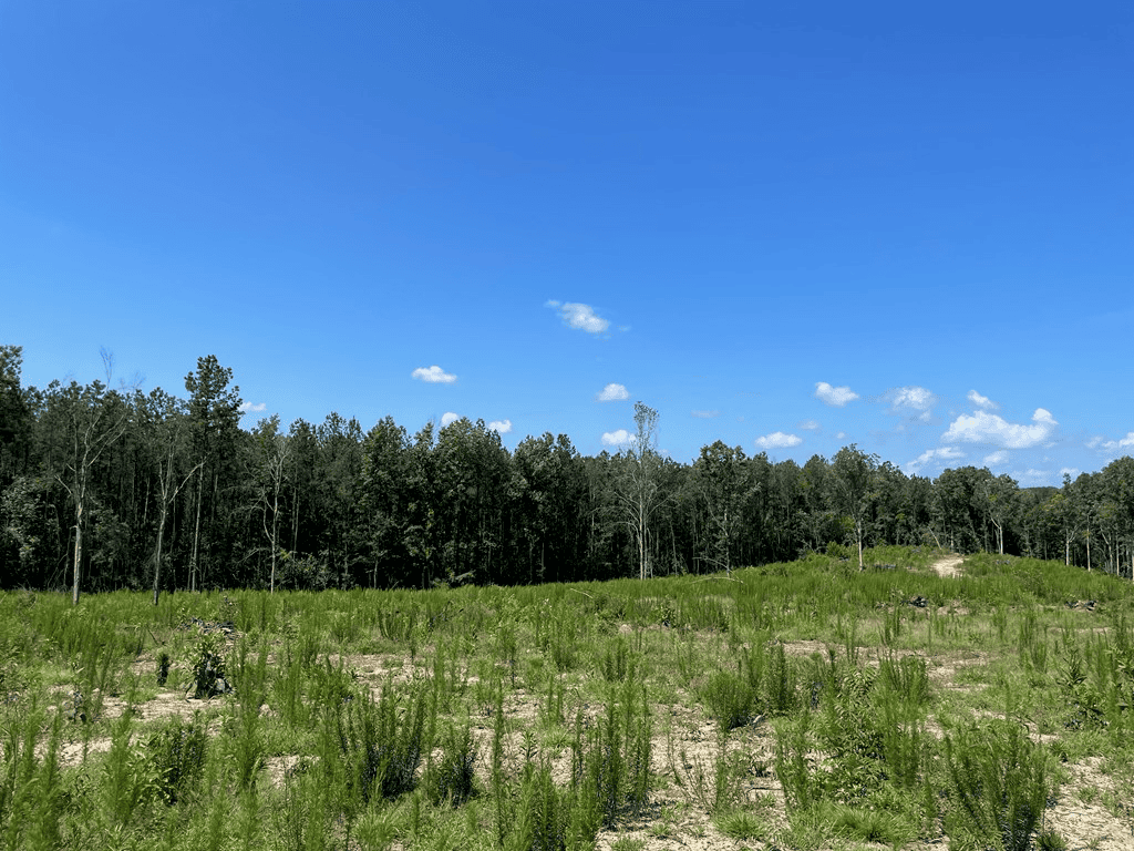 Mt Hermon 20 Acres For Sale