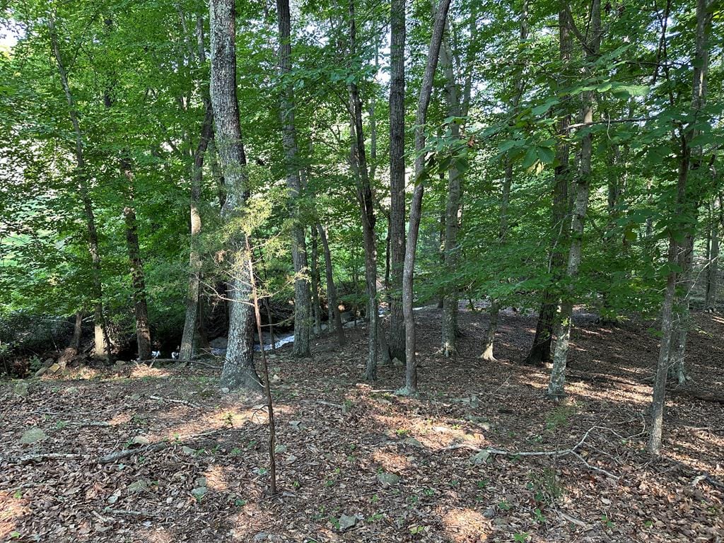 Welcome to Peaceful Perch In Alton, VA