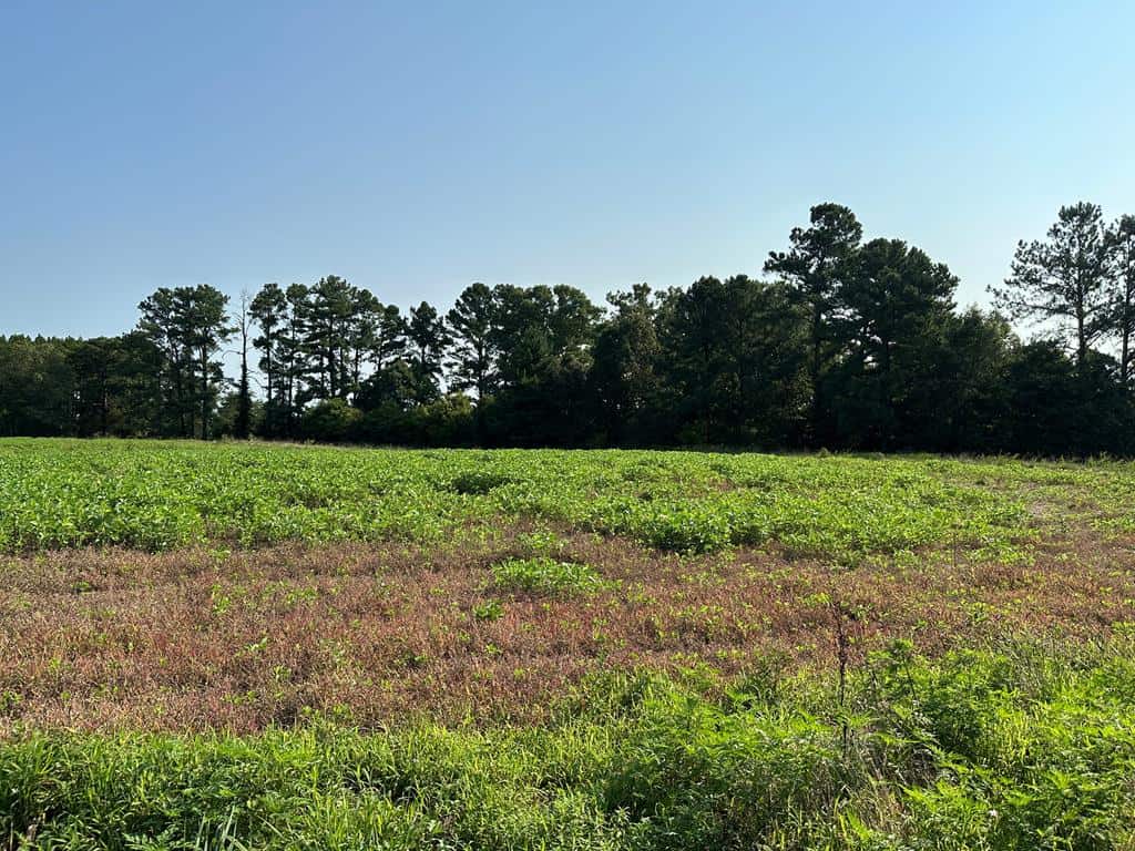 Welcome to Peaceful Perch In Alton, VA