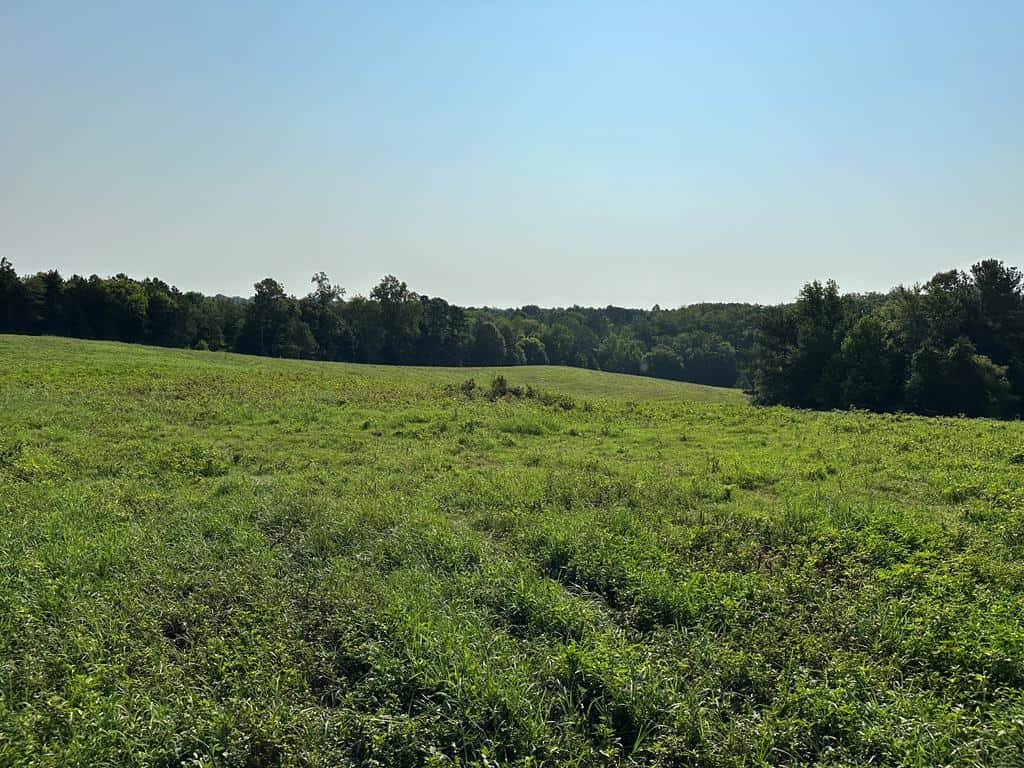 Welcome to Peaceful Perch In Alton, VA