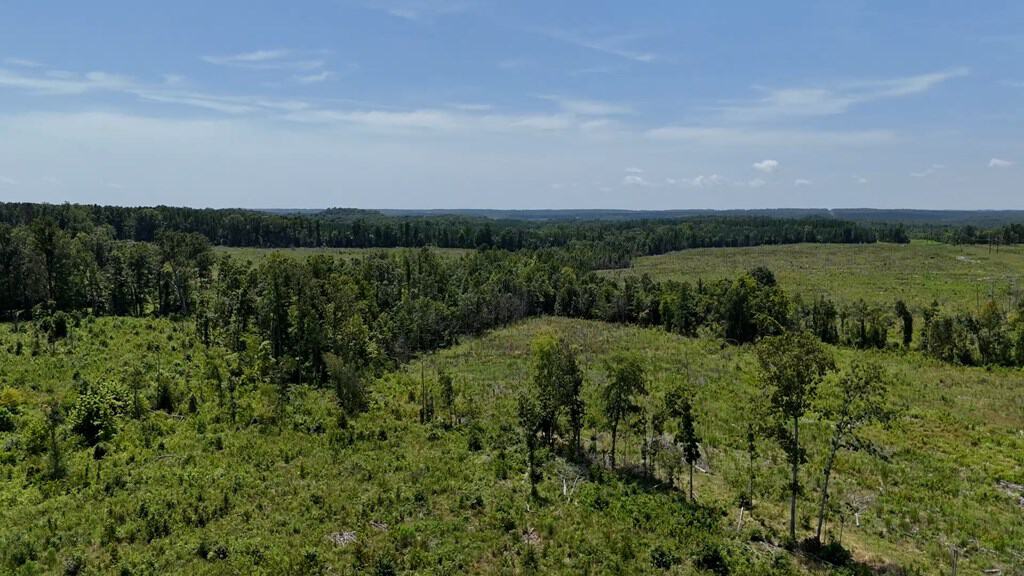 25-Acre Hunting & Timber Retreat in Southside, VA