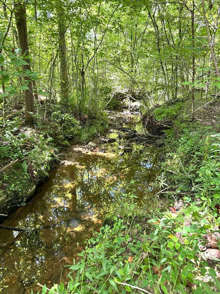 25-Acre Hunting & Timber Retreat in Southside, VA