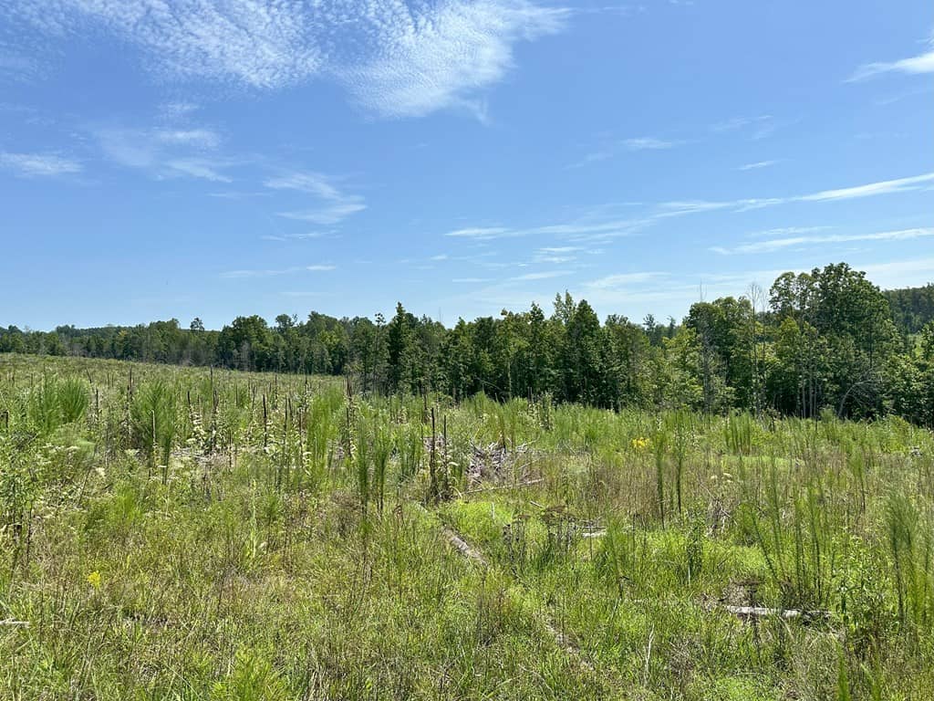 25-Acre Hunting & Timber Retreat in Southside, VA