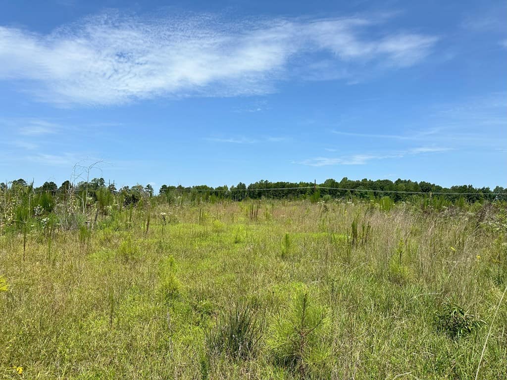 25-Acre Hunting & Timber Retreat in Southside, VA