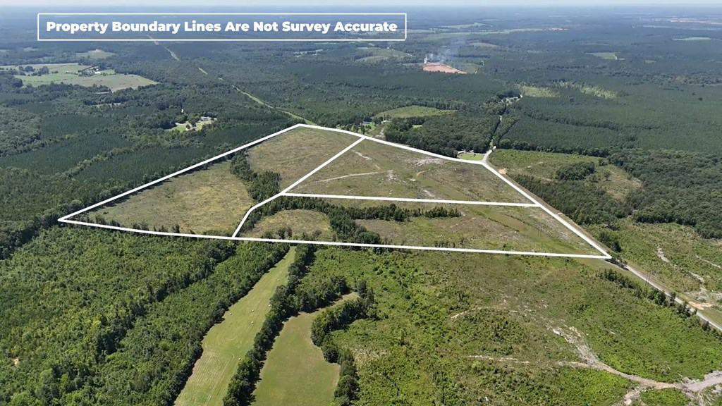 Prime 45-Acre Parcel in VA – Build, Hunt, Invest