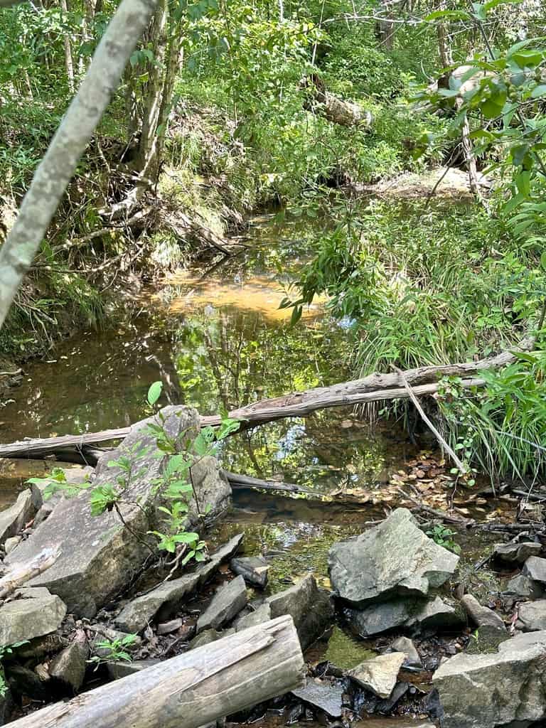 Prime 45-Acre Parcel in VA – Build, Hunt, Invest