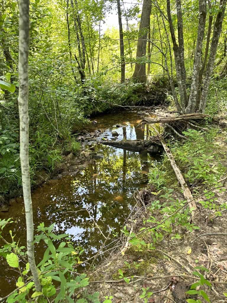 Prime 45-Acre Parcel in VA – Build, Hunt, Invest