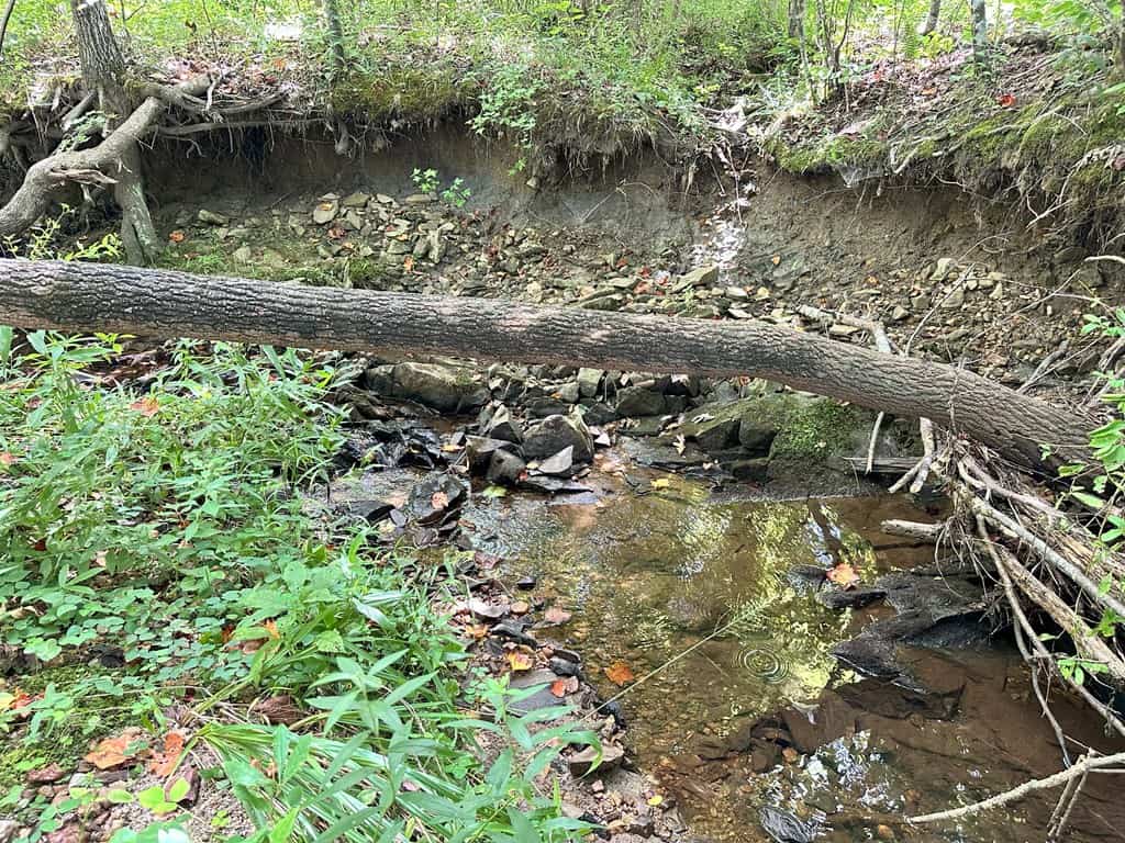 Prime 45-Acre Parcel in VA – Build, Hunt, Invest