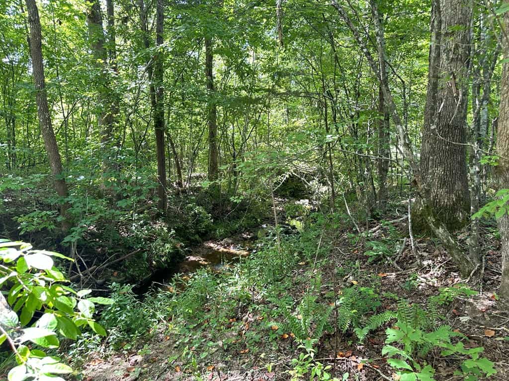 Prime 45-Acre Parcel in VA – Build, Hunt, Invest