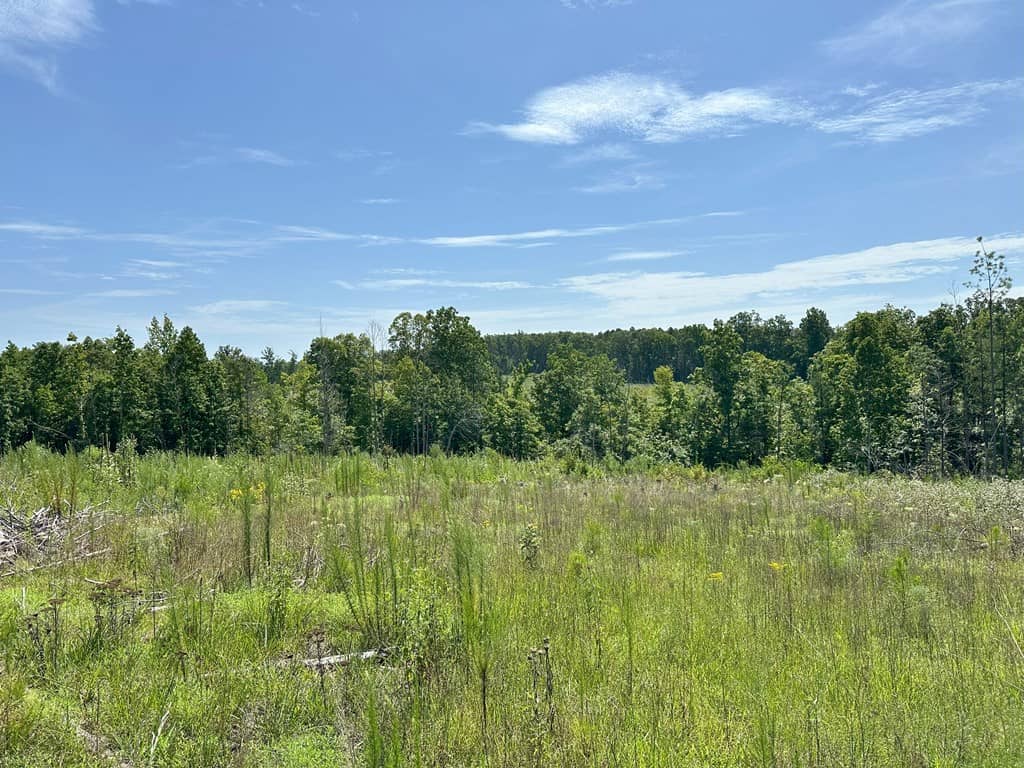 Prime 45-Acre Parcel in VA – Build, Hunt, Invest