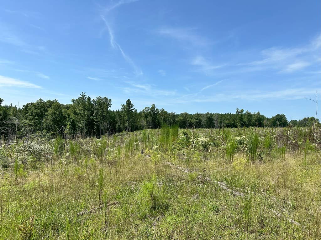 Prime 45-Acre Parcel in VA – Build, Hunt, Invest