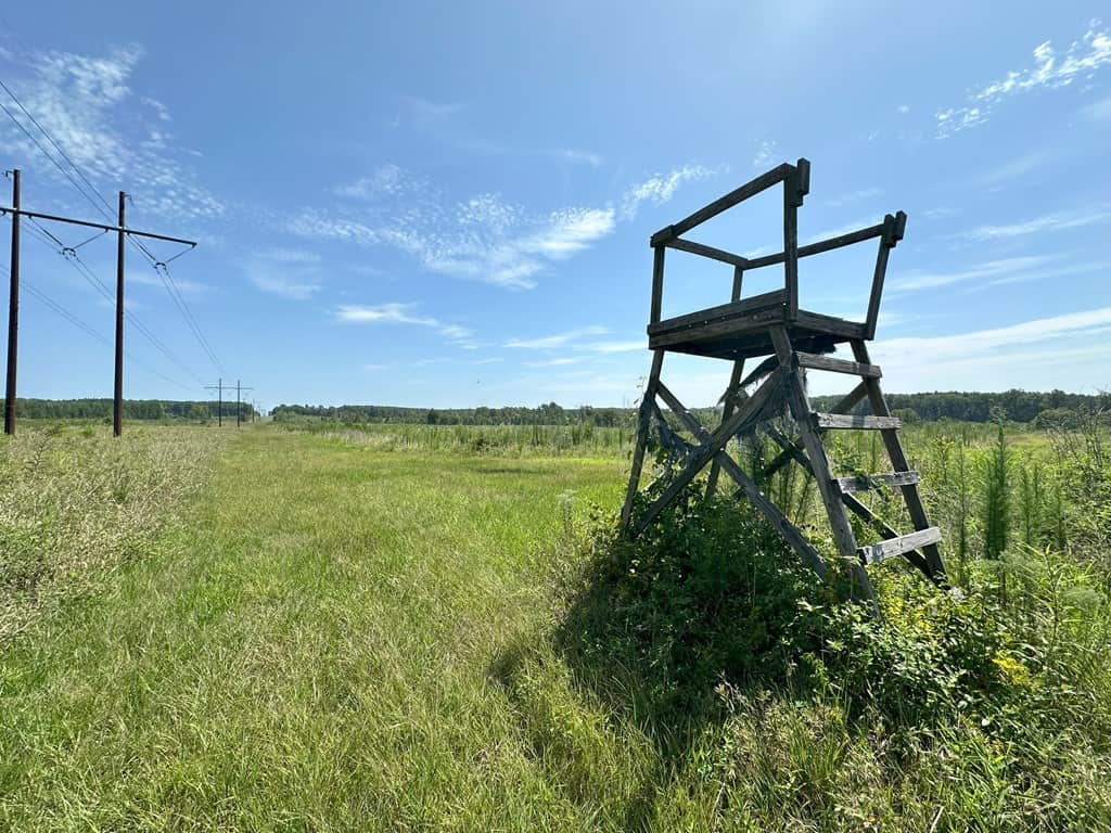 Prime 45-Acre Parcel in VA – Build, Hunt, Invest