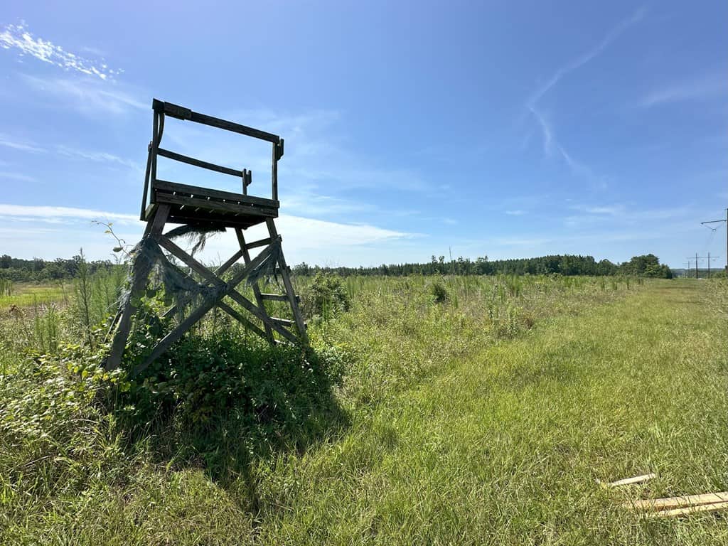 Prime 45-Acre Parcel in VA – Build, Hunt, Invest