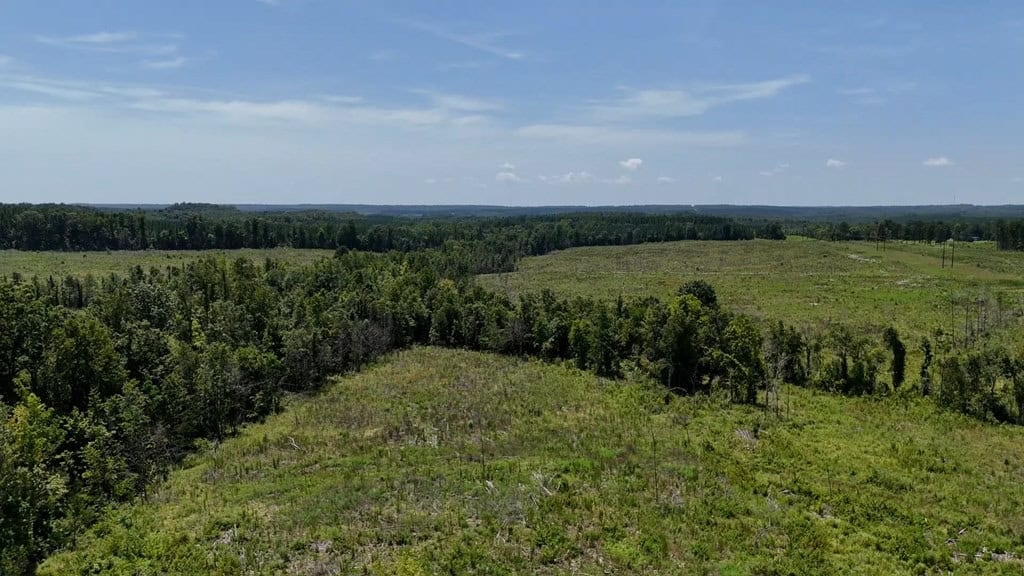 Prime 45-Acre Parcel in VA – Build, Hunt, Invest