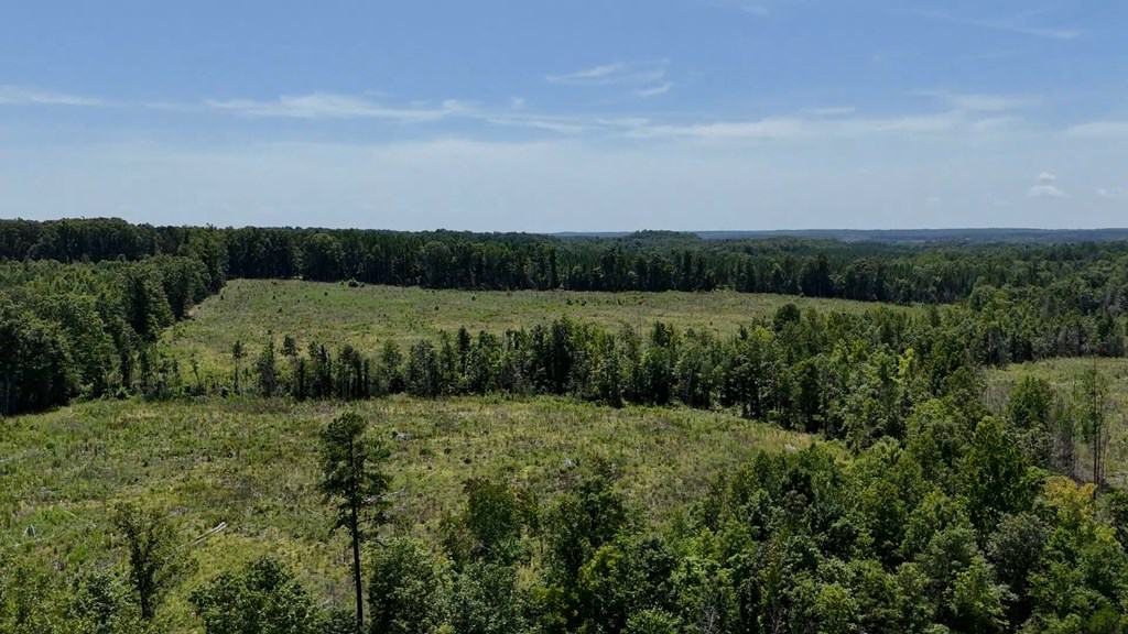 Prime 45-Acre Parcel in VA – Build, Hunt, Invest