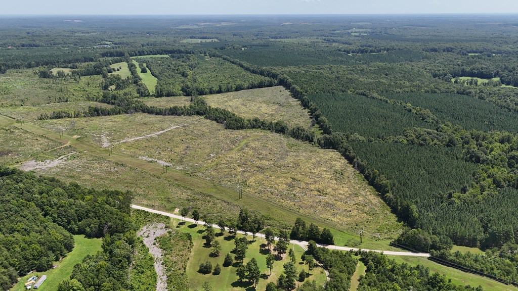 Prime 45-Acre Parcel in VA – Build, Hunt, Invest