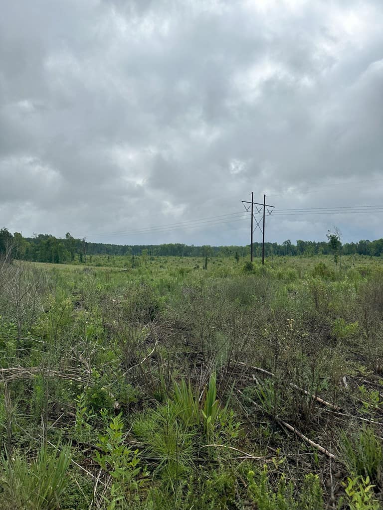 Prime 45-Acre Parcel in VA – Build, Hunt, Invest