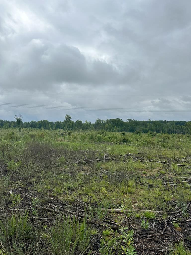 Prime 45-Acre Parcel in VA – Build, Hunt, Invest