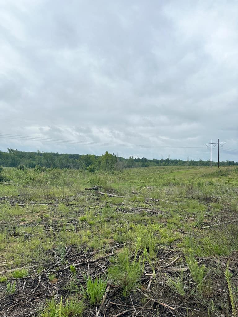 Prime 45-Acre Parcel in VA – Build, Hunt, Invest