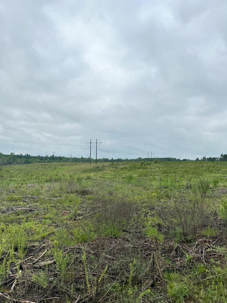 Prime 45-Acre Parcel in VA – Build, Hunt, Invest