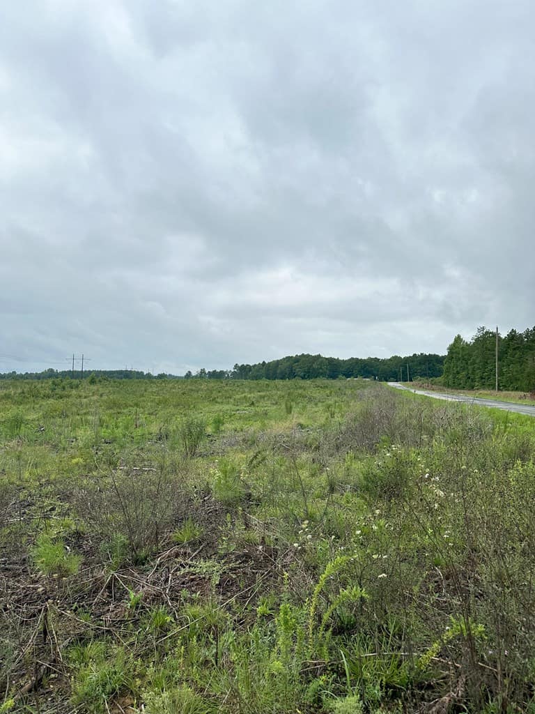 Prime 45-Acre Parcel in VA – Build, Hunt, Invest