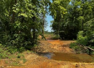 Turn-Key Hunting Property with Mobile Home & Unlimited Potential!