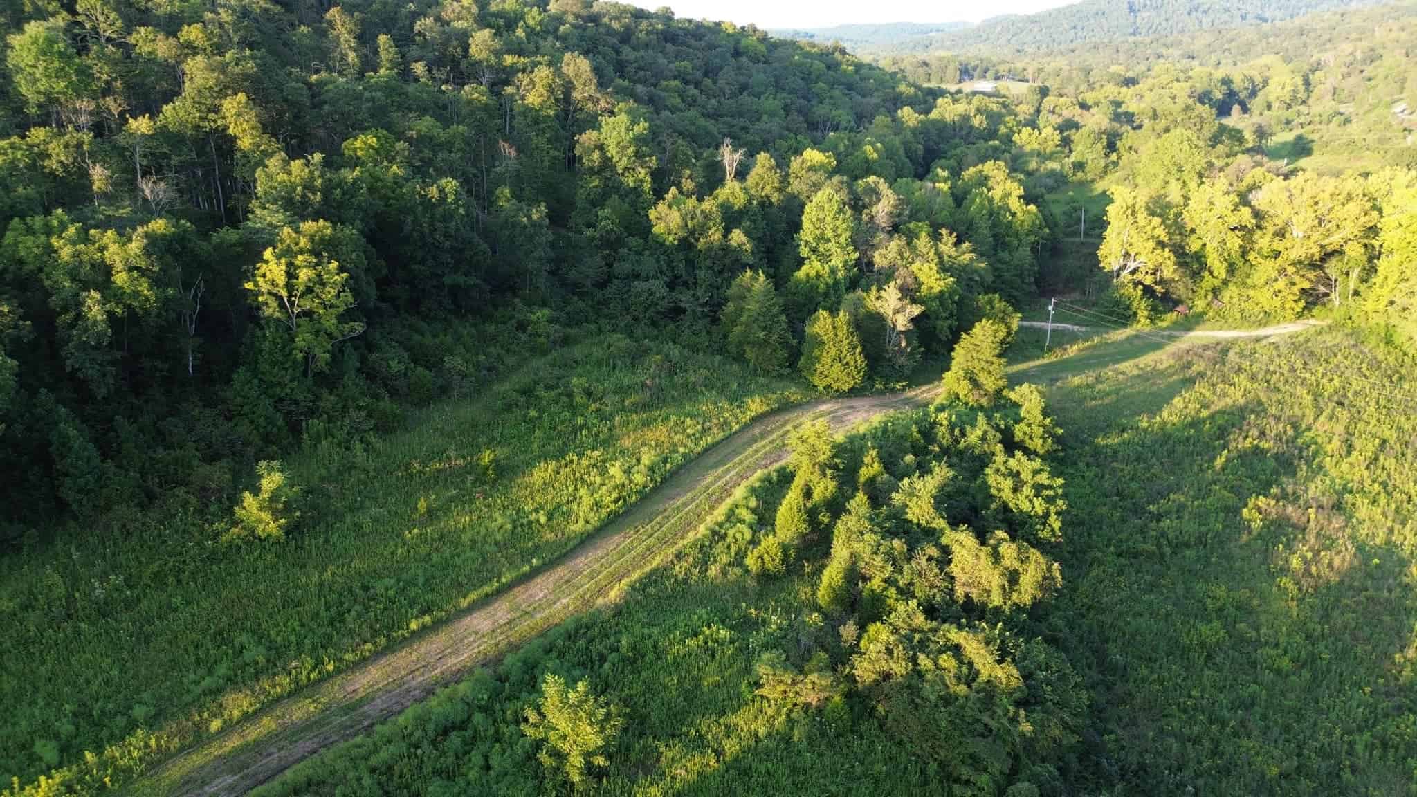 Acreage in Wayne County, Kentucky