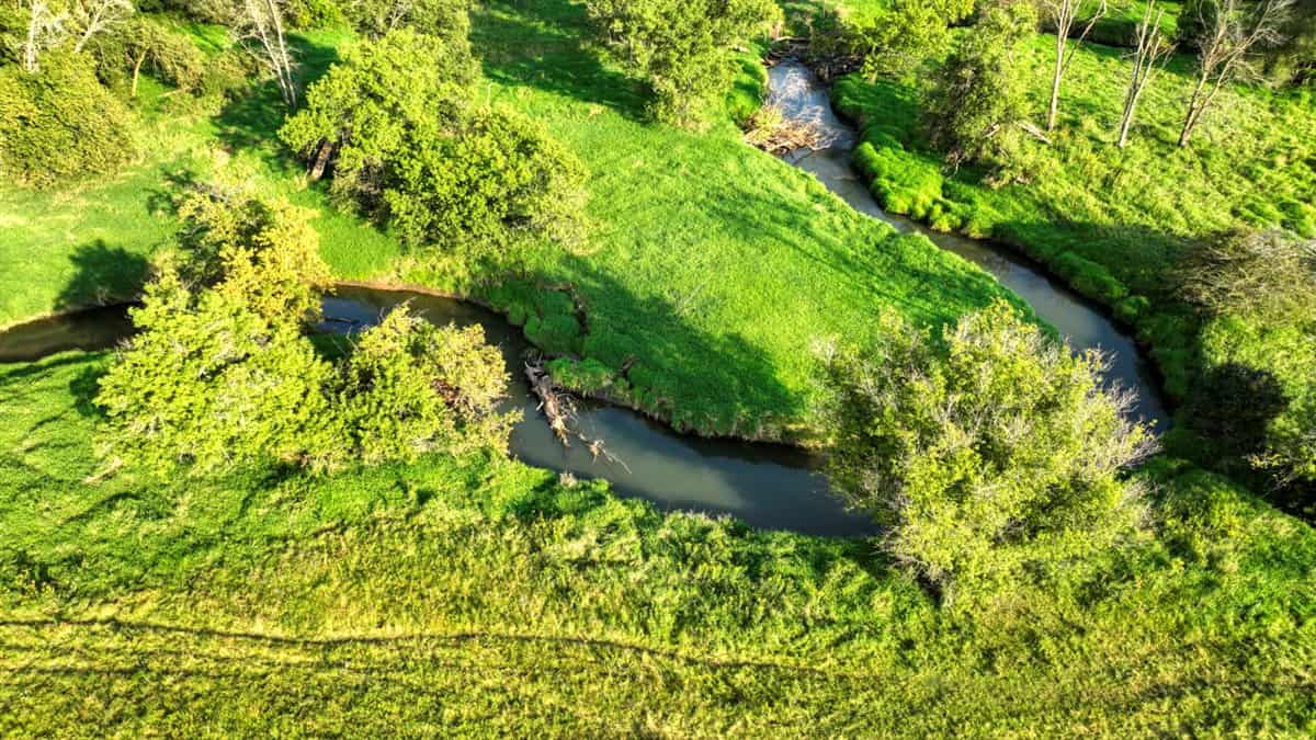 37+ Acres of Unlimited Potential – Elroy, WI