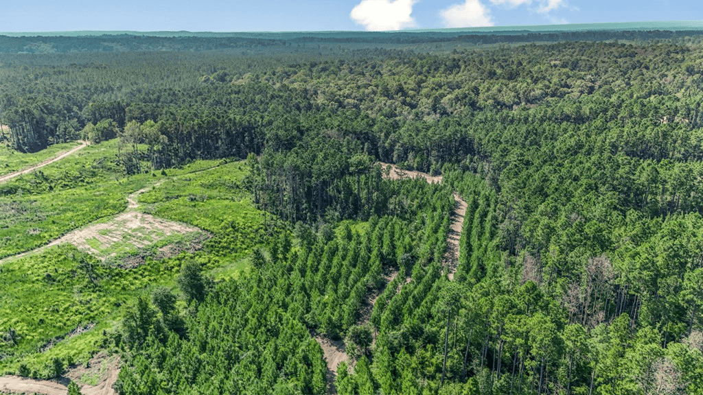 Small Hunting Property Near Caston Creek WMA