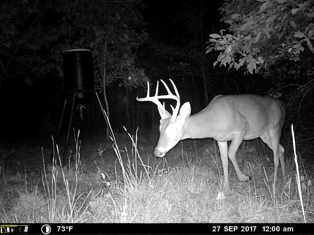 HUNTING PROPERTY FOR SALE IN TN WITH TIMBER AND BRANCH