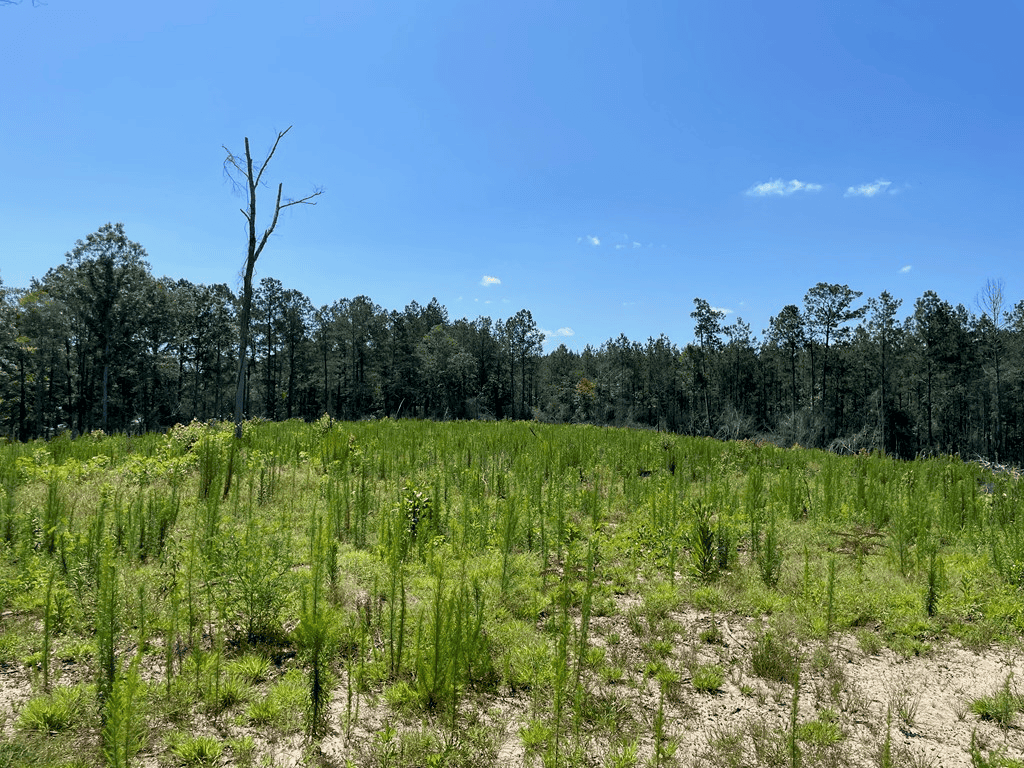 Mt Hermon 20 Acres For Sale