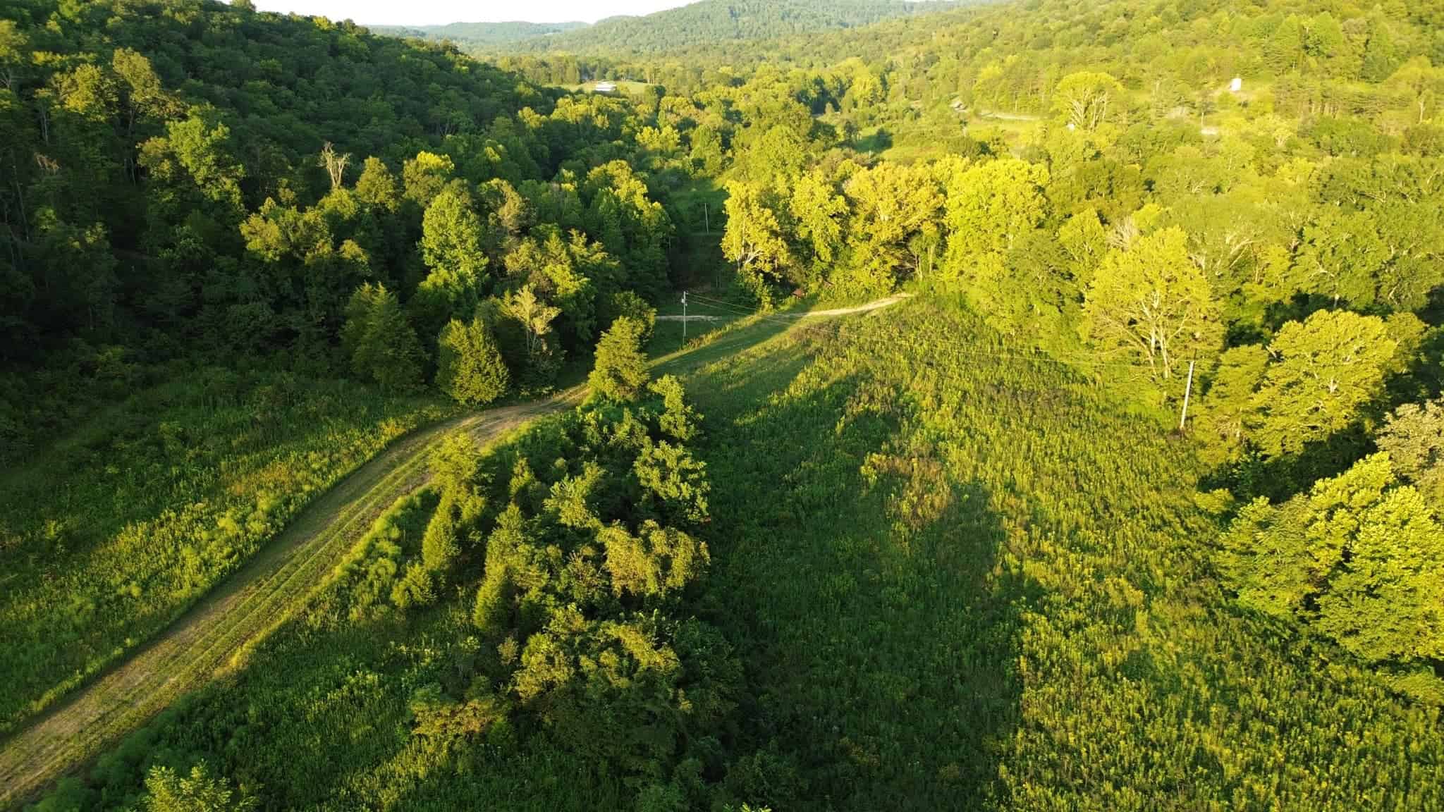 Acreage in Wayne County, Kentucky