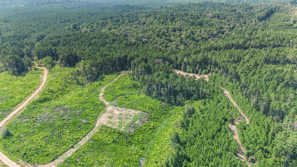 Small Hunting Property Near Caston Creek WMA