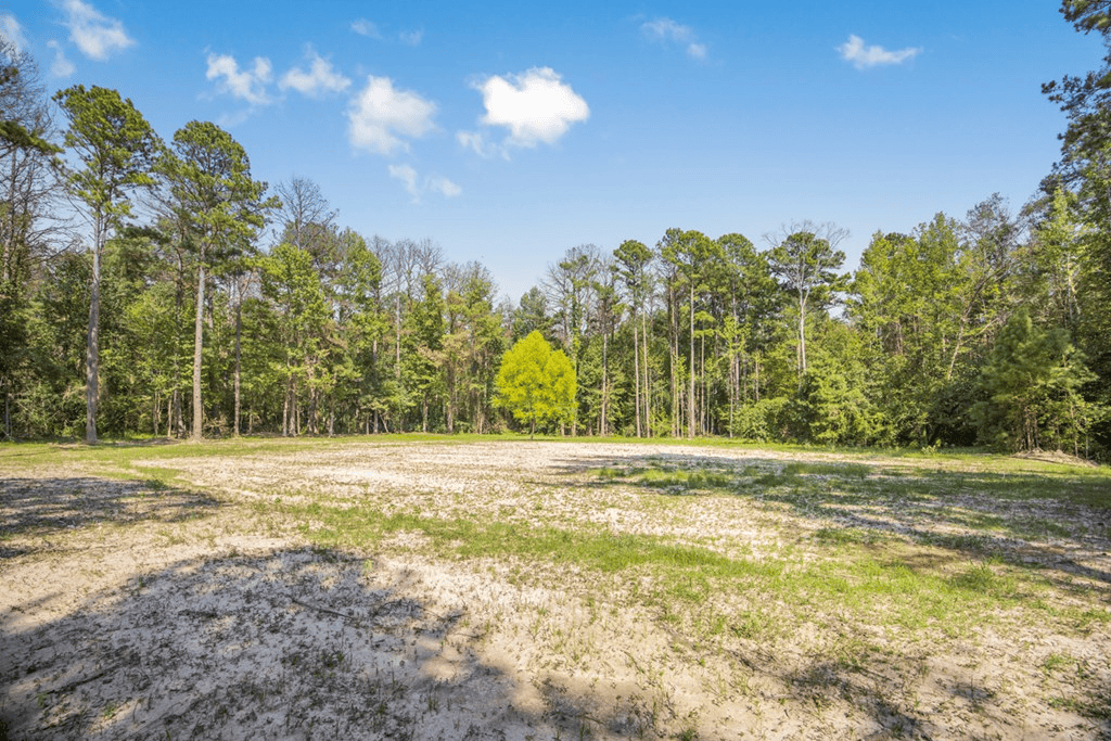 Wilkinson County Hunting Land Adjoining National Forest