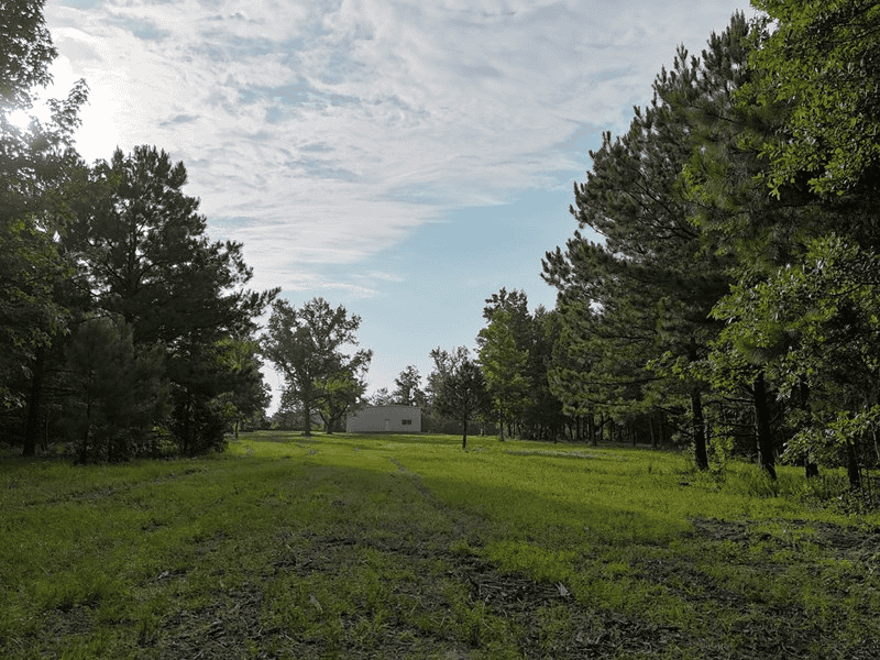 ±24.1 Acres Of East Texas Land With Insulated Shop And Pond