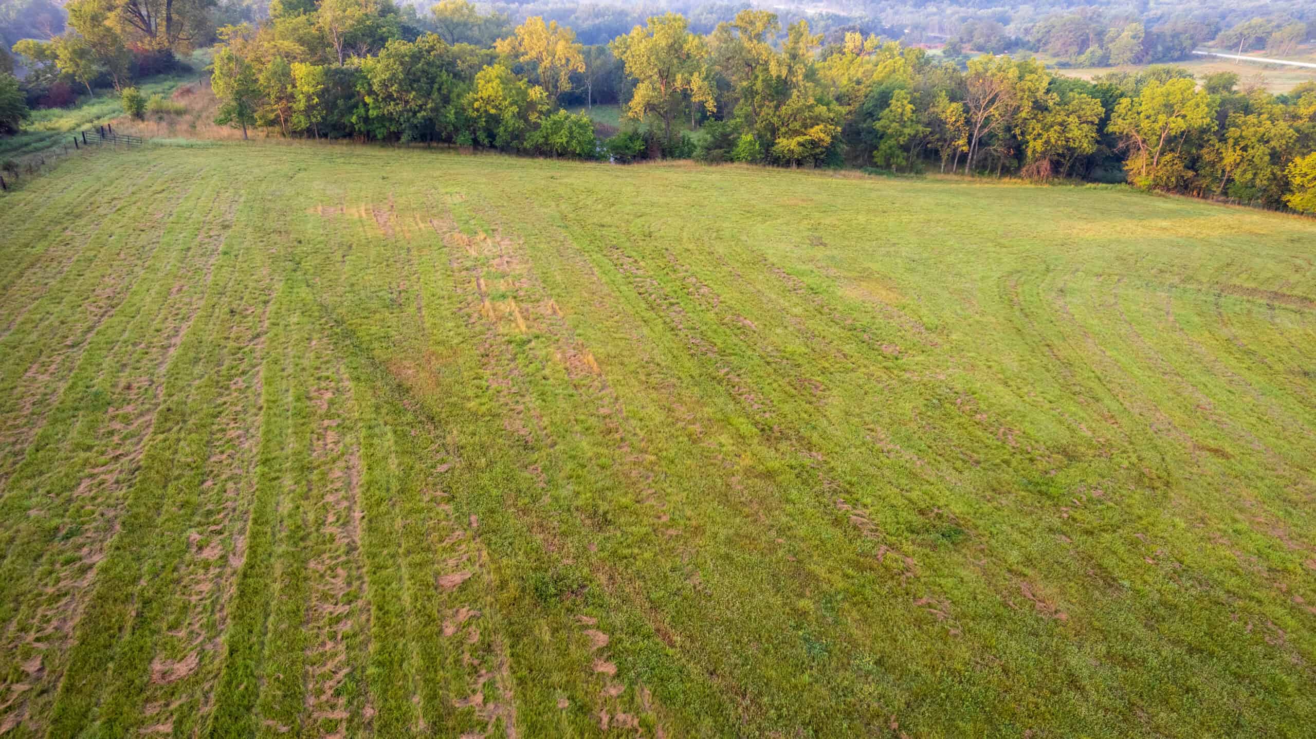 58 +/- Acre Appanoose County, Iowa Recreational and Hunting Tract with Investment Potential