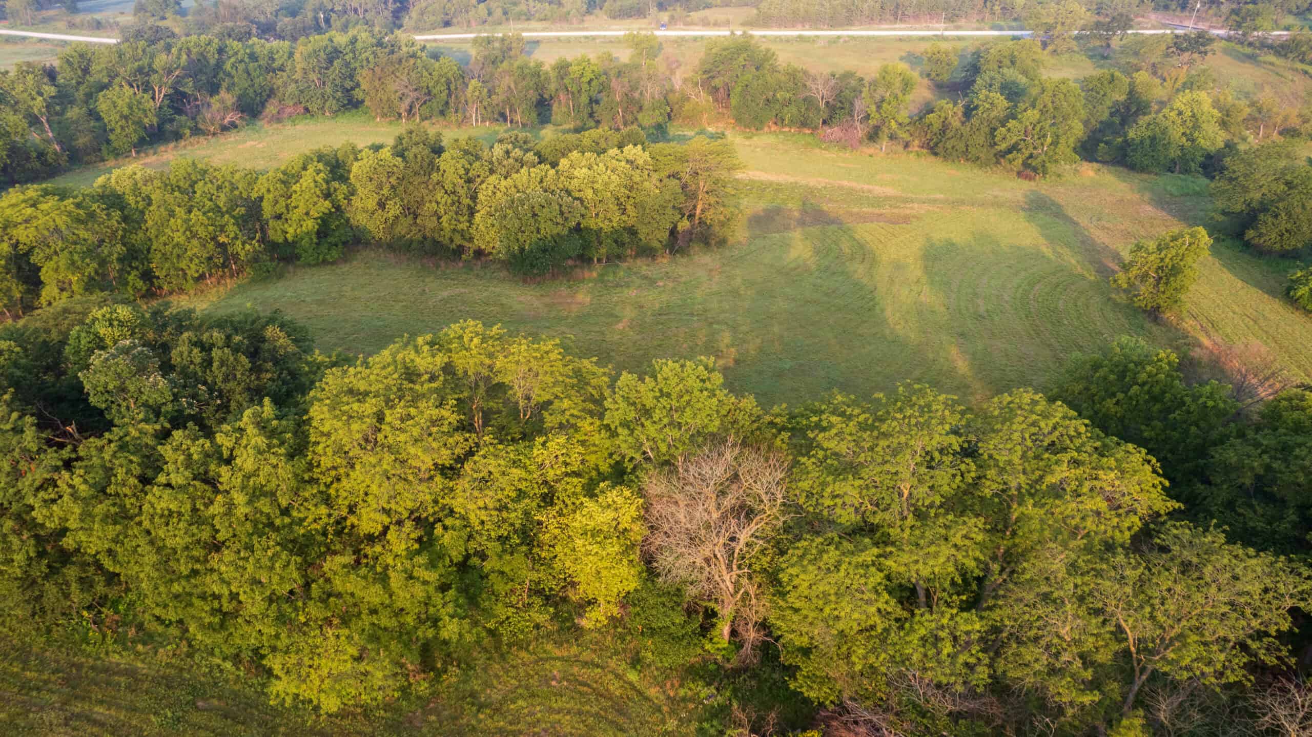 58 +/- Acre Appanoose County, Iowa Recreational and Hunting Tract with Investment Potential