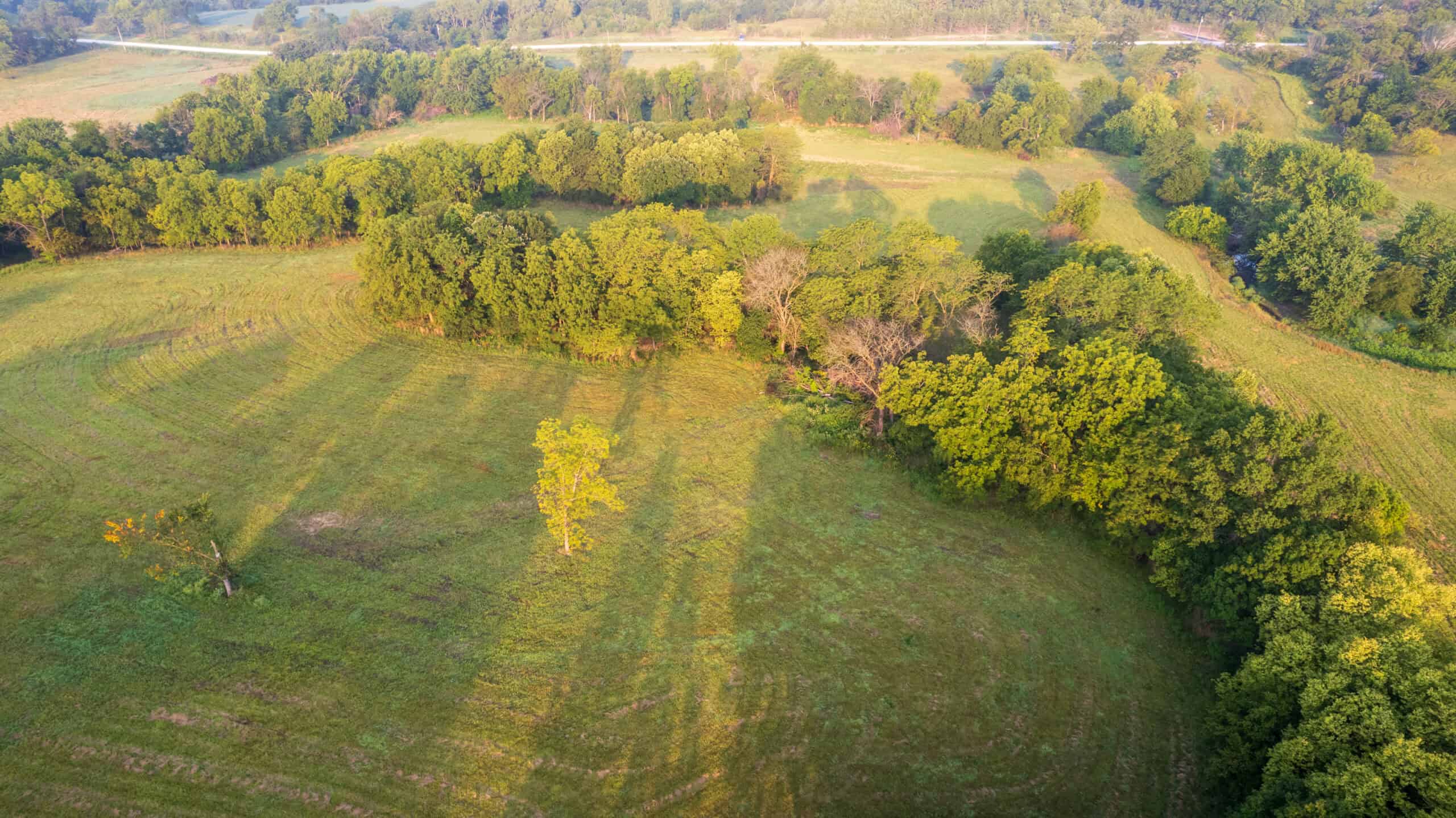 58 +/- Acre Appanoose County, Iowa Recreational and Hunting Tract with Investment Potential