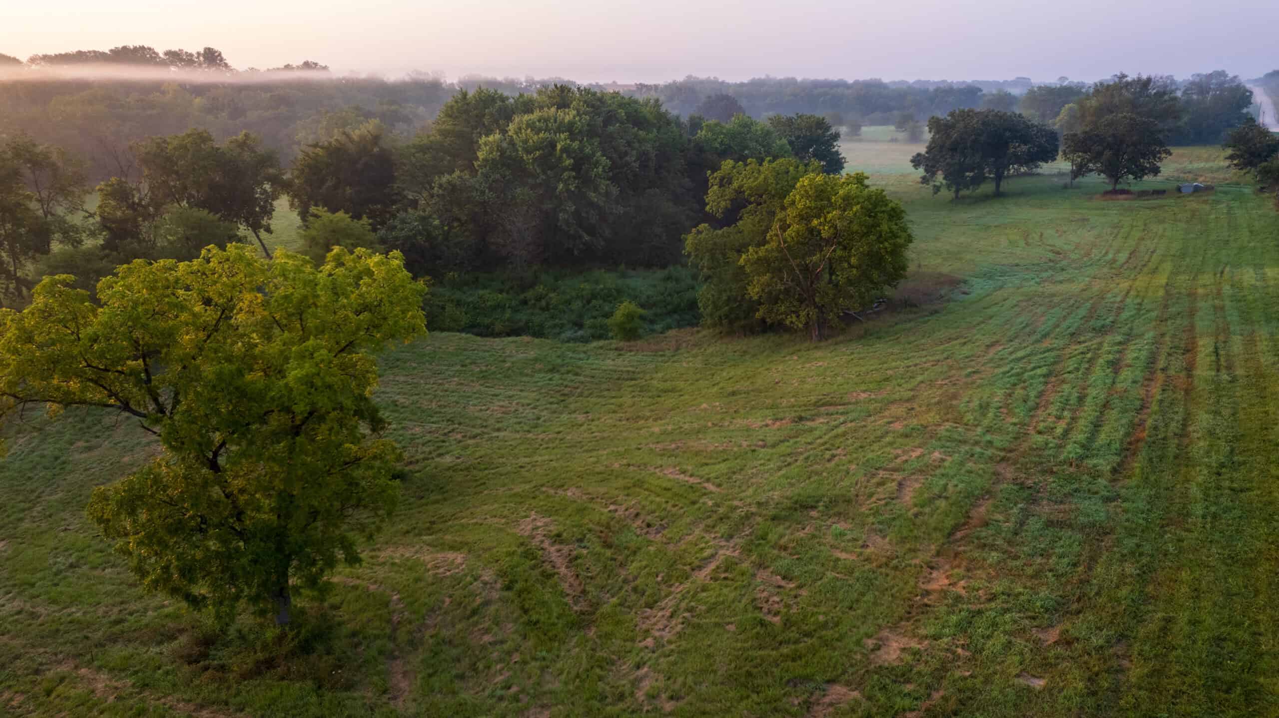 58 +/- Acre Appanoose County, Iowa Recreational and Hunting Tract with Investment Potential