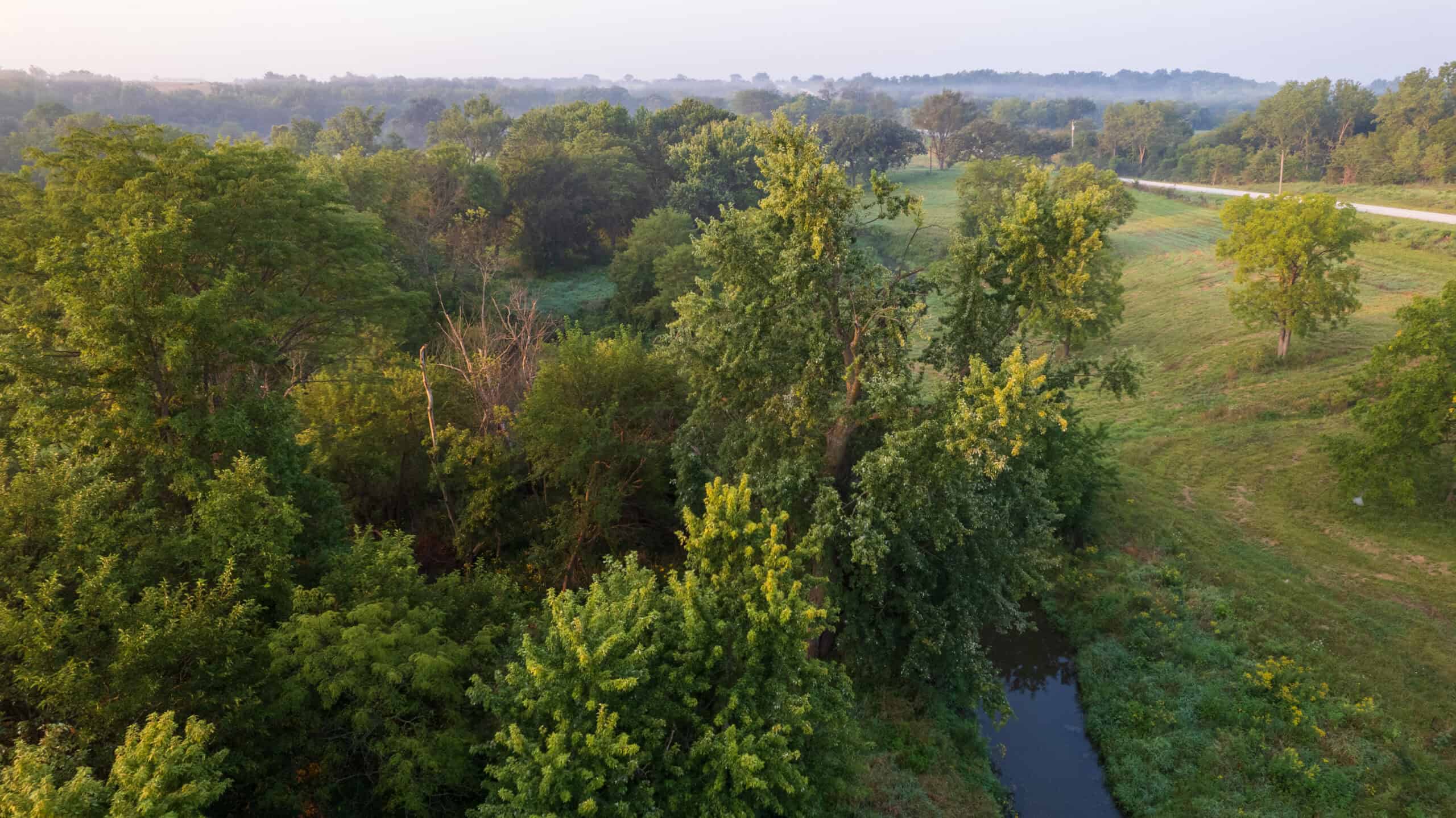 58 +/- Acre Appanoose County, Iowa Recreational and Hunting Tract with Investment Potential