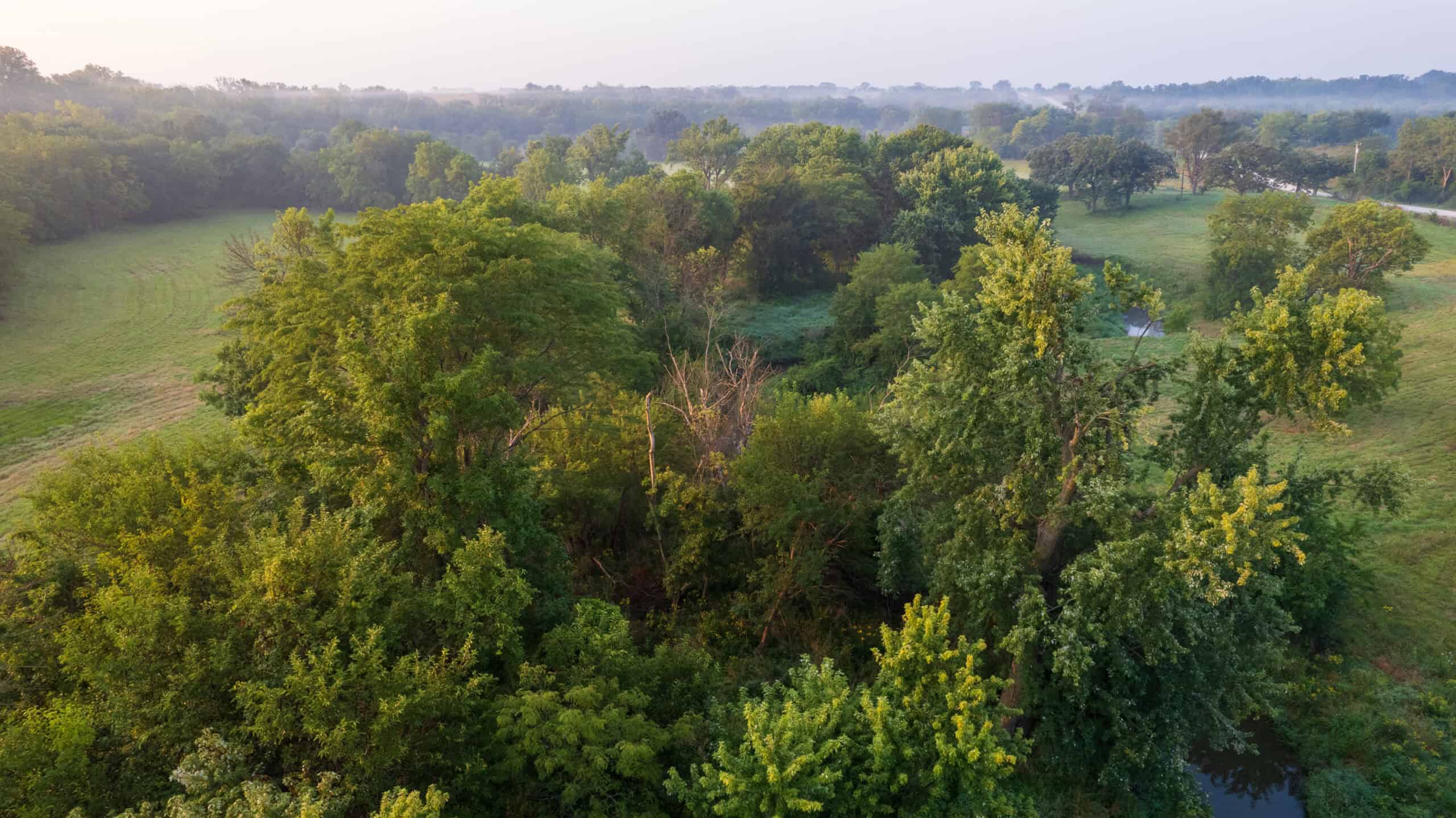 58 +/- Acre Appanoose County, Iowa Recreational and Hunting Tract with Investment Potential