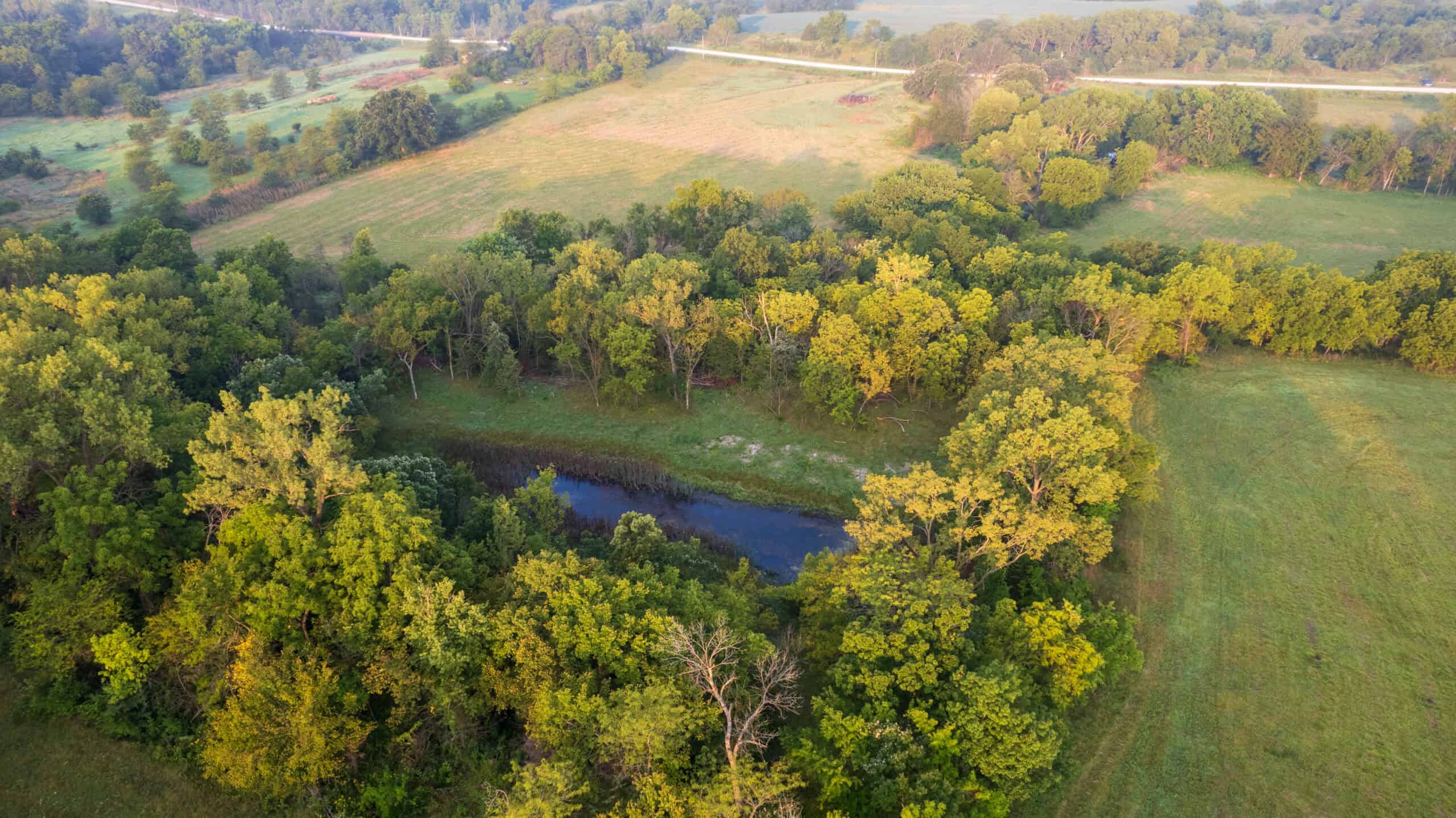 58 +/- Acre Appanoose County, Iowa Recreational and Hunting Tract with Investment Potential