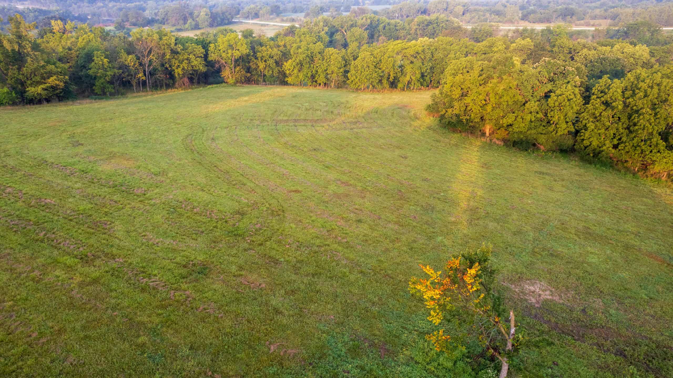 58 +/- Acre Appanoose County, Iowa Recreational and Hunting Tract with Investment Potential