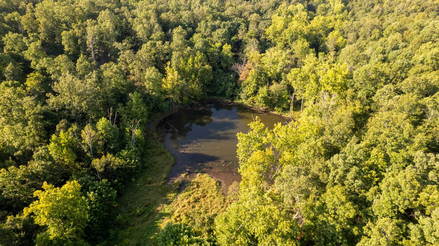 Custom Built Log Cabin and 57 Wooded Acres in Thayer MO