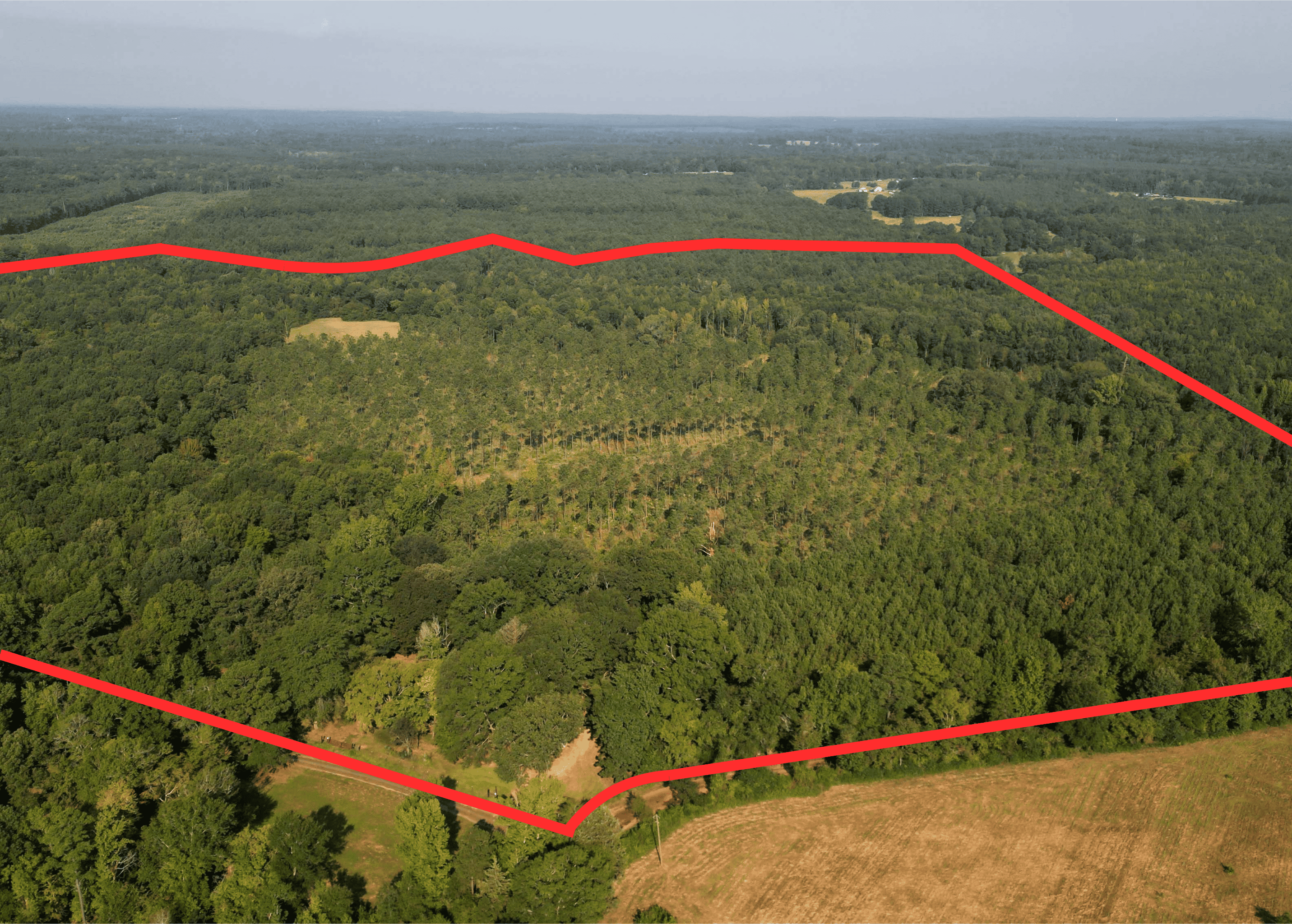 EAST TEXAS TIMBER/HUNTING/RECREATIONAL LAND FOR SALE