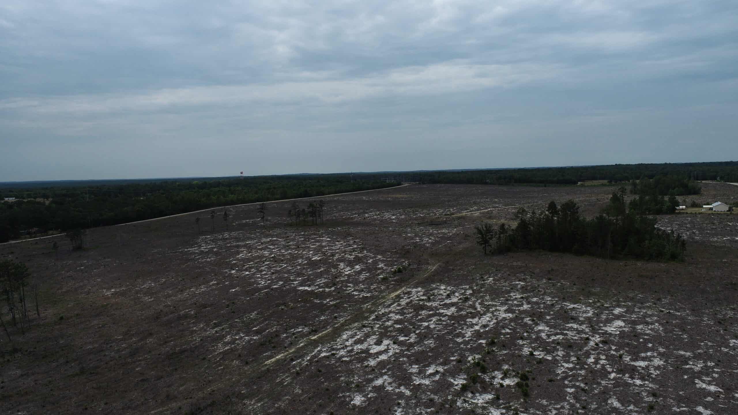 161 +/- Acres in Kershaw County, SC