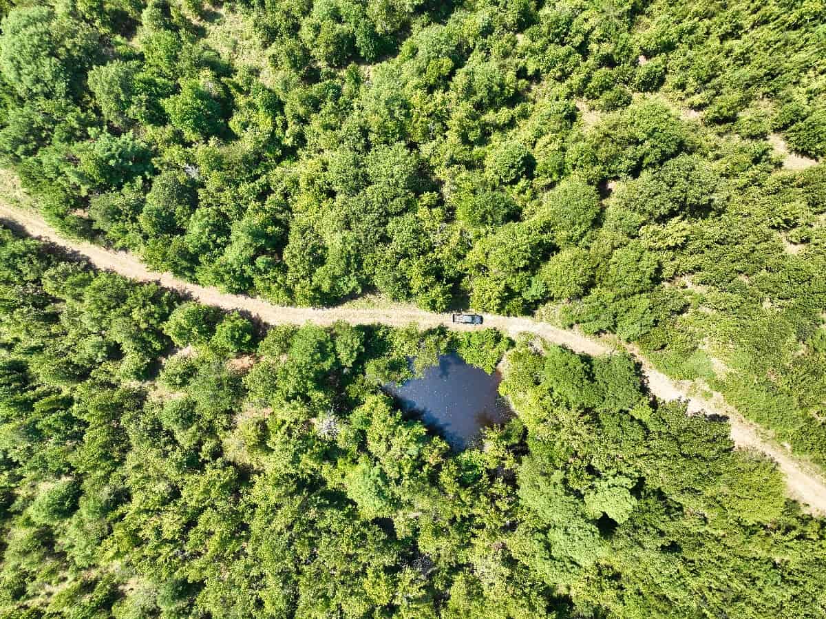 McCurtain County Oklahoma Hunting Property