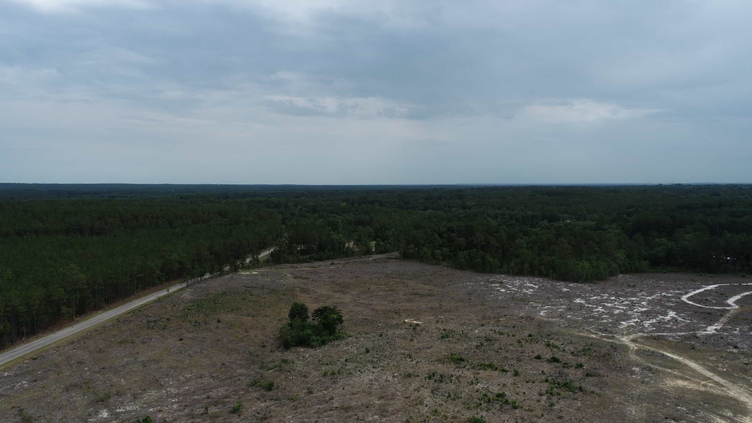 161 +/- Acres in Kershaw County, SC