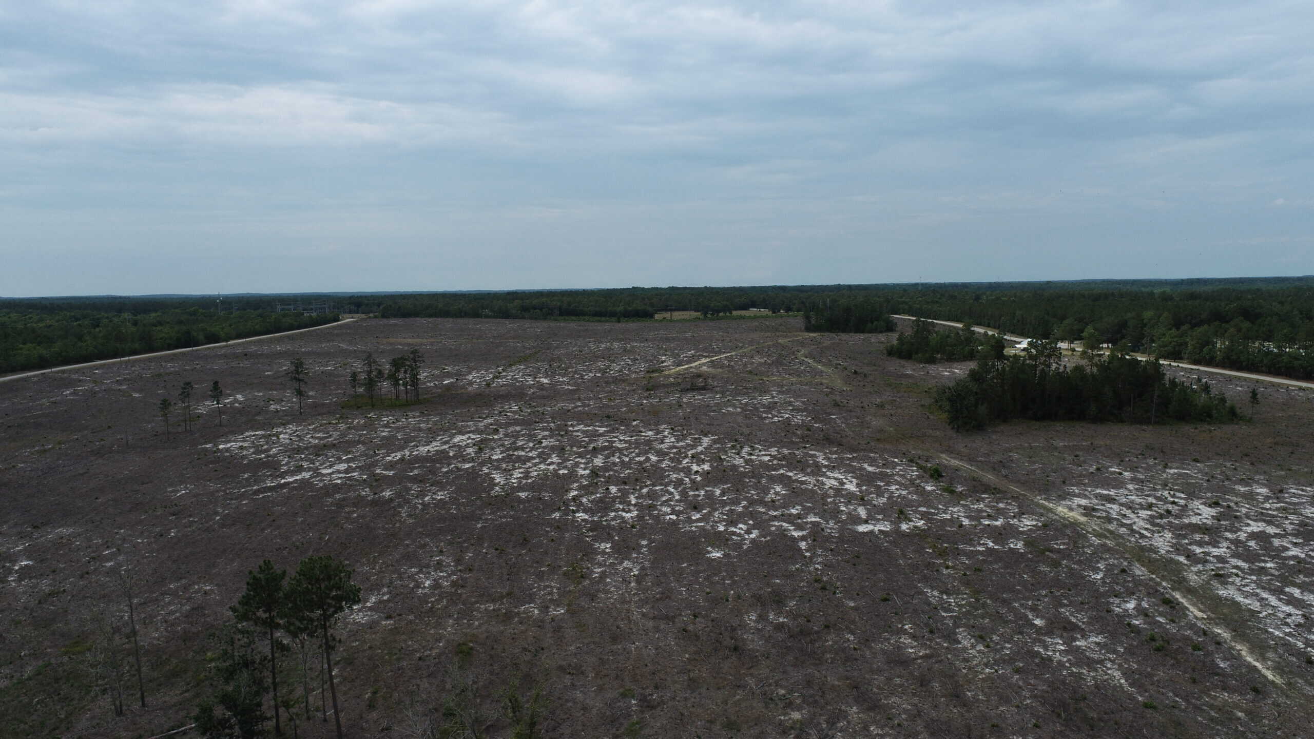 161 +/- Acres in Kershaw County, SC