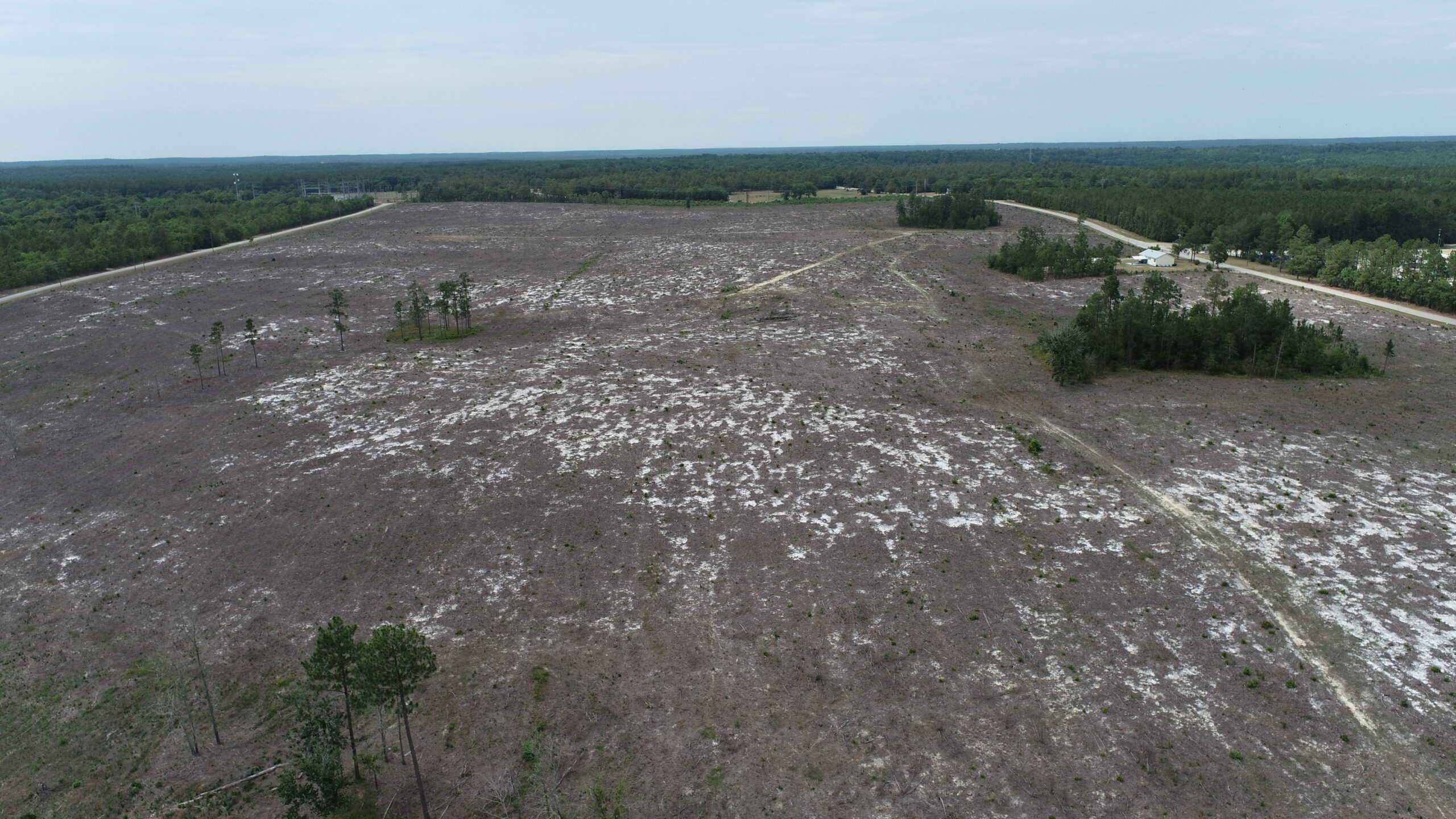 161 +/- Acres in Kershaw County, SC